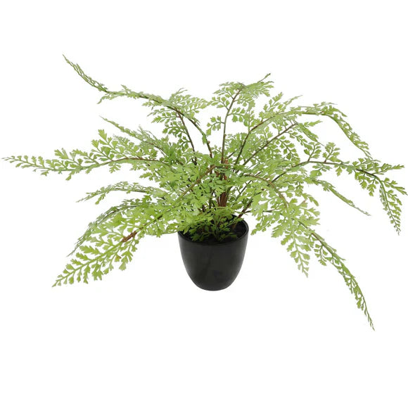 Artificial Plants