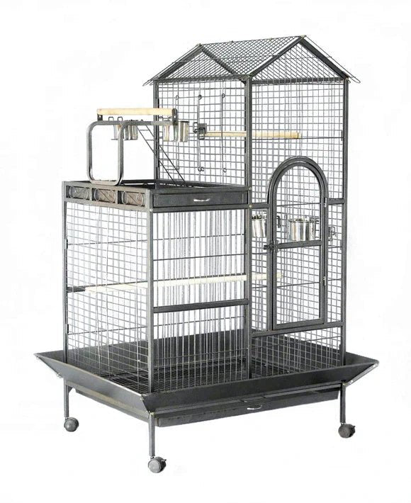 Ultimate Guide to Pet Care Essentials - RnR Galore