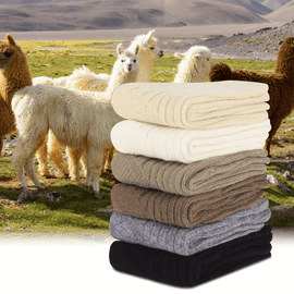 2 Pairs WOOL BLEND SOCKS Ladies Womens Thick Soft Work Thermal Warm Winter - 2 - 8 - RnR Galore
