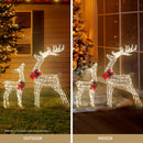 2 PCS Christmas Lights 170 LED Fairy Light Reindeer Decorations Jingle Jollys - RnR Galore