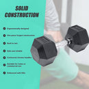 20KG Commercial Rubber Hex Dumbbell Gym Weight - RnR Galore