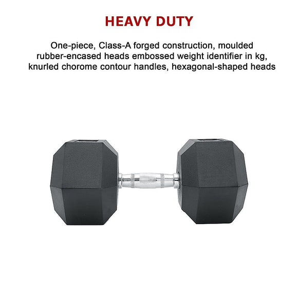 25KG Commercial Rubber Hex Dumbbell Gym Weight - RnR Galore