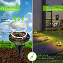 4 - Pack Classic Large 8 LED Solar In - Ground White Light Set (12 x 12 x 13 cm) - Stainless Steel Waterproof Garden Spike Lamps for Lawn & Pathway - RnR Galore