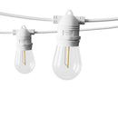 41M LED Festoon Light Outdoor String Light Christmas Wedding Party Decorations - RnR Galore