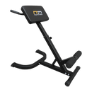 45 - Degree Hyperextension Bench - RnR Galore