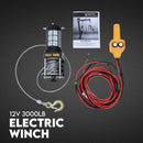 900kg Swivel Hydraulic Crane Hoist 12V Electric Jack - RnR Galore
