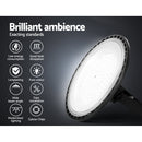 Leier High Bay Light LED 100W Industrial Lamp Workshop Warehouse Factory Lights-4