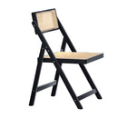 Artiss Dining Chair Wooden Rattan Foldable Black-1