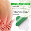 Herbal Mugwort Lumbar Patches: Warm Compress Patches for Lower Back Pain Caused by Muscle Strain or Prolonged Sitting (48 pcs/4 boxes)-5