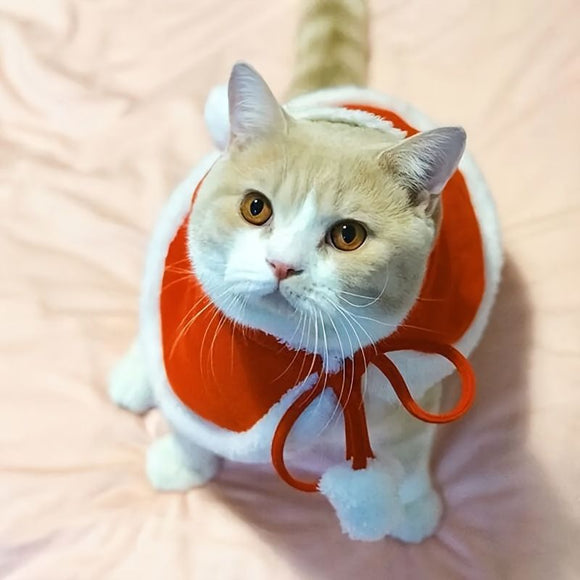 AMOOR Pet Christmas Cape Small Dog Holiday Wear Christmas Scarf [Velcro] Pet Christmas Cape (Recommended for pets under 7 jin; check chest circumference and back length)