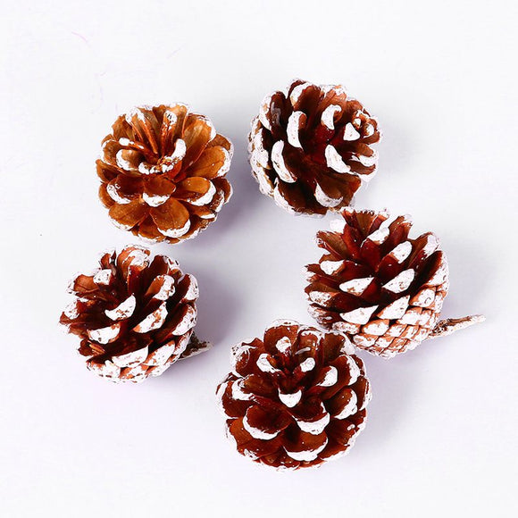 Natural Pine Cones with Snow-Dusted Tips for Christmas Tree Ornaments, Holiday Table Centerpieces, DIY Wreath Crafts, Garland Making and Festive Photo Props (4-5cm(5PCS))