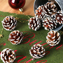 Natural Pine Cones with Snow-Dusted Tips for Christmas Tree Ornaments, Holiday Table Centerpieces, DIY Wreath Crafts, Garland Making and Festive Photo Props (4-5cm(5PCS))-2