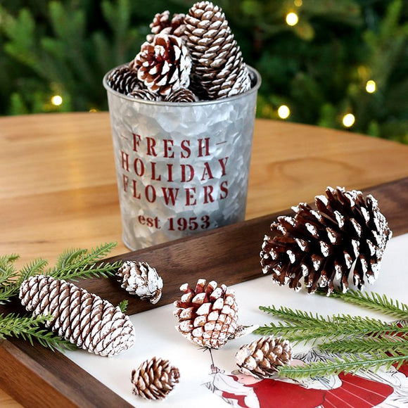 Natural Pine Cones with Snow-Dusted Tips for Christmas Tree Ornaments, Holiday Table Centerpieces, DIY Wreath Crafts, Garland Making and Festive Photo Props (4-5cm(5PCS))