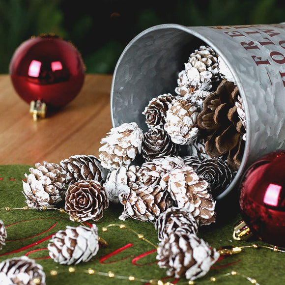 Natural Pine Cones with Snow-Dusted Tips for Christmas Tree Ornaments, Holiday Table Centerpieces, DIY Wreath Crafts, Garland Making and Festive Photo Props (4-5cm(5PCS))