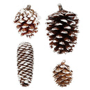 Natural Pine Cones with Snow-Dusted Tips for Christmas Tree Ornaments, Holiday Table Centerpieces, DIY Wreath Crafts, Garland Making and Festive Photo Props (4-5cm(5PCS))-6