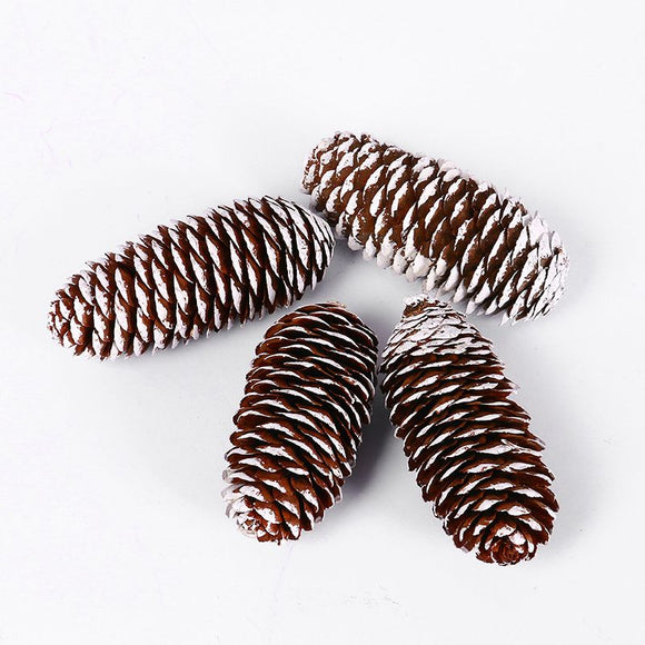 Natural Pine Cones with Snow-Dusted Tips for Christmas Tree Ornaments, Holiday Table Centerpieces, DIY Wreath Crafts, Garland Making and Festive Photo Props (4-5cm(5PCS))