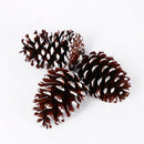 Natural Pine Cones with Snow-Dusted Tips for Christmas Tree Ornaments, Holiday Table Centerpieces, DIY Wreath Crafts, Garland Making and Festive Photo Props (4-5cm(5PCS))-8