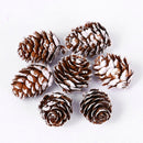 Natural Pine Cones with Snow-Dusted Tips for Christmas Tree Ornaments, Holiday Table Centerpieces, DIY Wreath Crafts, Garland Making and Festive Photo Props (4-5cm(5PCS))-9