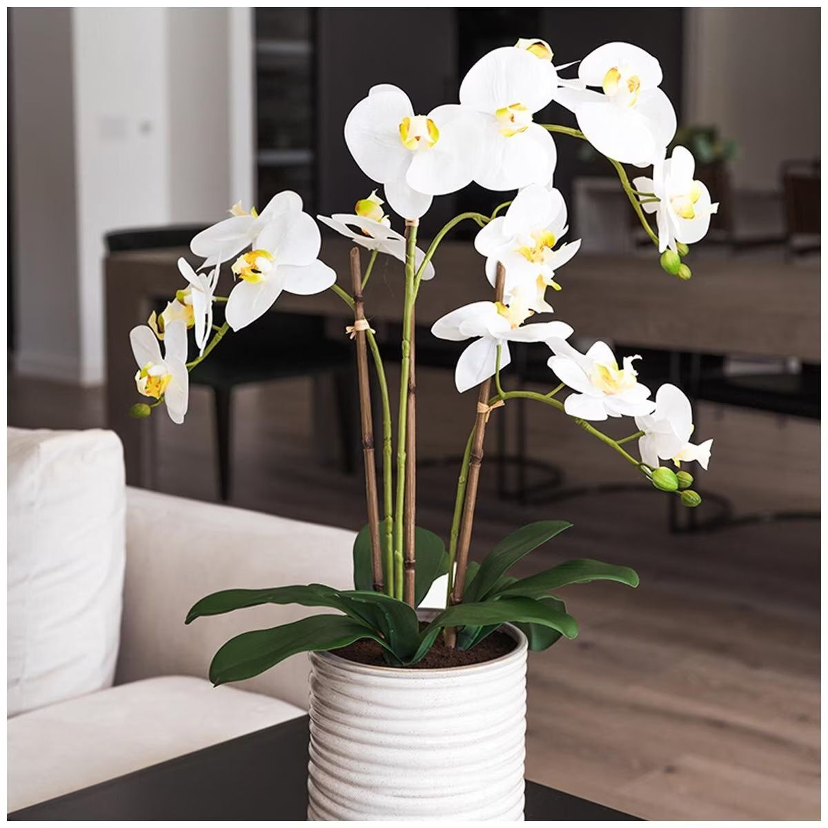 Artificial Orchid With Ribbed Pot 67cm - 0