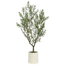 Artificial Olive Tree In French Crock Pot 2M-1