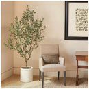 Artificial Olive Tree In French Crock Pot 2M-3