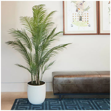 Artificial Palm Tree In Ribbed Pot 2M - 0