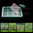10 Set 12 Hole Plant Seed Grow Box Propagation Nursery Seedling Starter Tray-7