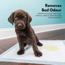Floofi 100pcs Pet Training Pads Puppy Dog Toilet Pee Indoor Super Absorbent AU-9