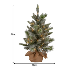 Christabelle 61cm Pre-Lit Snowy Stamford Spruce Battery-Operated Mini Christmas Tree Multi-Functional LED Timer - 0