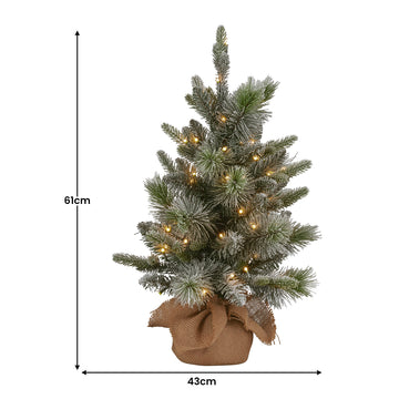 Christabelle 61cm Pre-Lit Snowy Stamford Spruce Battery-Operated Mini Christmas Tree Multi-Functional LED Timer - 0