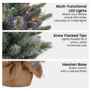 Christabelle 61cm Pre-Lit Snowy Stamford Spruce Battery-Operated Mini Christmas Tree Multi-Functional LED Timer-5