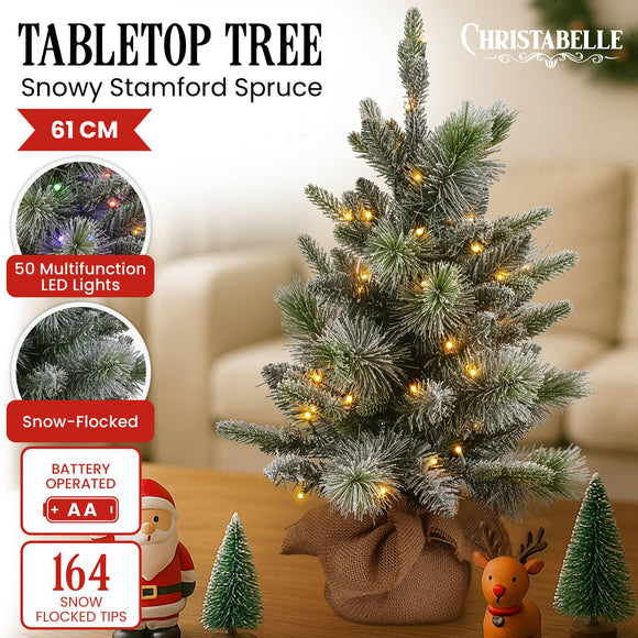 Christabelle 61cm Pre-Lit Snowy Stamford Spruce Battery-Operated Mini Christmas Tree Multi-Functional LED Timer