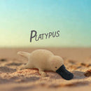 Stretchy Squishy Australian Wildlife Gift Set - Sensory Stimulation Animal Toys-6