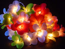 1 Set of 20 LED Tropical Bright Colous Frangipani Flower Battery String Lights Christmas Gift Home Wedding Party Decoration Outdoor Table Centrepiece-3