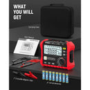 KAIWEETS Megohmmeter, Insulation Resistance Tester, Up to 100GΩ, 50V/100V/250V/500V/1000V, One-Touch DAR/PI, with AC/DC Voltage Testing for Motors, Solar, HVAC-6
