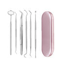 Stainless Steel Dental Tools Set Oral Care Kit with Metal Storage Case-2