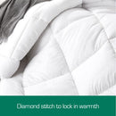 Woolcomfort Aus Made Merino Wool Quilt 500GSM 160x210cm King Single Size-4