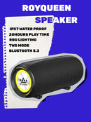 ROYQUEEN Bluetooth Speaker,30W Loud Stereo Sound Portable Speaker, Deep Bass, IP67 Waterproof and Dustproof, Wireless Dual Pairing, Built-in Mic, for Outdoor, Indoor-1