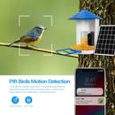 2Mp Wifi Camera With Ai Bird Recognition And Pir Motion Detection-13