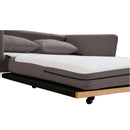 SHASA 2 Seater Pull-out Sofa bed Grey taupe-5