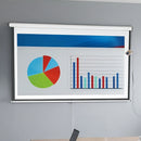 100" Electric Motorised Projector Screen TV +Remote-5