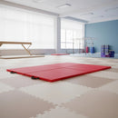 Gym Mat Gymnastics Martial Arts Karate Gym Mat Yoga Wrestling-2