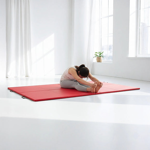 Gym Mat Gymnastics Martial Arts Karate Gym Mat Yoga Wrestling