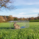 Trap Humane Possum Cage Live Animal Safe Catch Rabbit Cat Hare Fox Bird-8