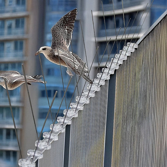 20x 50cm Bird Spike S304 wire Spikes Eaves Pigeon Gull Starling 10M