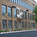 20x 50cm Bird Spike S304 wire Spikes Eaves Pigeon Gull Starling 10M-4