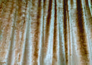 Large Thick Velvet Curtains Warp Knitted Velvet 550x270cm+30 Hooks Pinch Pleat-3