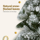 Jingle Jollys Christmas Tree 1.8m Xmas Tree Snow Flocked Flowers Decor 564 Tips-5