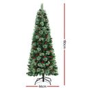 Jingle Jollys Christmas Tree 1.8M LED Xmas Tree Party Decorations Red Barries-2