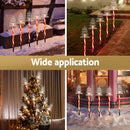 25 LED 5 PCS Christmas Lights Path Ground Light Garden Decorations Jingle Jollys-5